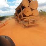 Vídeos da campanha “Amazônia Urgente!”